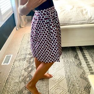Jcrew skirt